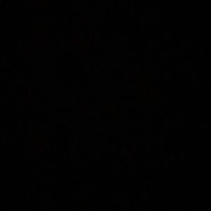 Meet your Posher, Peyton